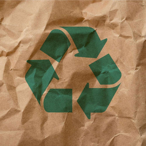 Eco-Friendly Packaging Resolutions for Businesses