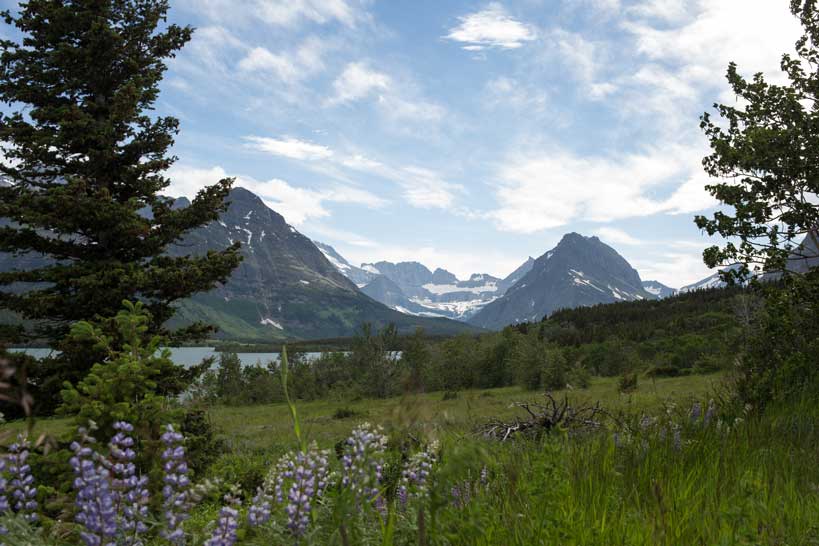 Small Swaps, Big Impact: Our Journey Toward Packaging Sustainability