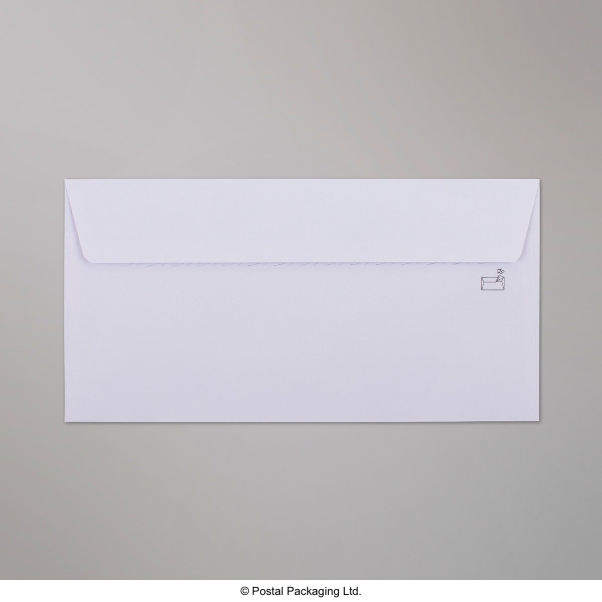 Postal Inspection Envelope - Without Window 115 x 225mm