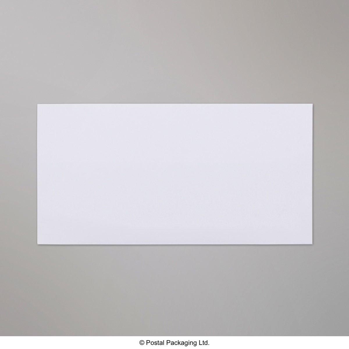 Postal Inspection Envelope - Without Window 115 x 225mm